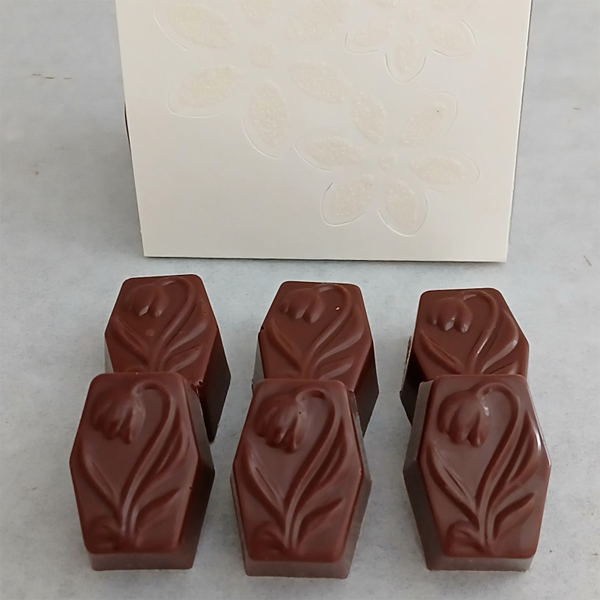 Pochette « Fleurs » + 6 pralines TULIPE en chocolat ALTERNATIVE au lait (sans lait) BIO vegan sans allergènes : 49g