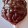 1 SUCETTE tête PÈRE NOËL ALTERNATIVE au lait (sans lait) vegan sans allergènes Exquidia : 15g