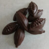 Coffret Arbre + 8 cabosses en chocolat NOIR 60% BIO sans allergènes Exquidia : 54g